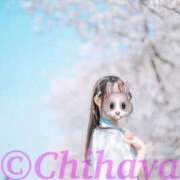 ヒメ日記 2026/01/23 12:39 投稿 ちはや ANNEX（アネックス）