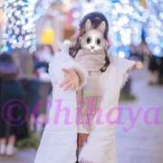 ヒメ日記 2026/01/28 11:00 投稿 ちはや ANNEX（アネックス）