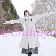 ヒメ日記 2026/01/29 11:01 投稿 ちはや ANNEX（アネックス）