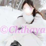 ヒメ日記 2026/01/29 12:45 投稿 ちはや ANNEX（アネックス）