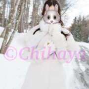 ヒメ日記 2026/01/29 23:01 投稿 ちはや ANNEX（アネックス）