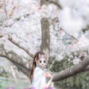 ヒメ日記 2026/02/11 07:35 投稿 ちはや ANNEX（アネックス）