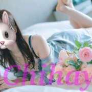 ヒメ日記 2026/02/16 19:00 投稿 ちはや ANNEX（アネックス）