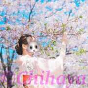 ヒメ日記 2026/02/17 11:45 投稿 ちはや ANNEX（アネックス）