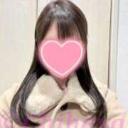 ヒメ日記 2026/02/20 17:47 投稿 ちはや ANNEX（アネックス）