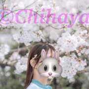 ヒメ日記 2026/02/25 12:03 投稿 ちはや ANNEX（アネックス）