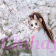 ヒメ日記 2026/02/27 12:08 投稿 ちはや ANNEX（アネックス）