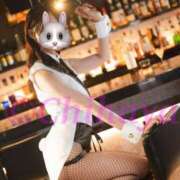 ヒメ日記 2026/03/02 14:33 投稿 ちはや ANNEX（アネックス）