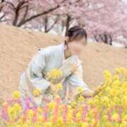 ヒメ日記 2026/03/06 10:02 投稿 ちはや ANNEX（アネックス）