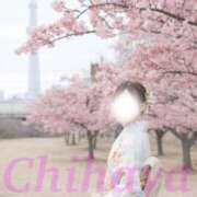 ヒメ日記 2026/03/17 12:52 投稿 ちはや I♥KASUKABE(アイラブ春日部)