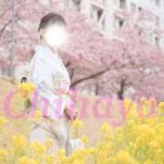 ヒメ日記 2026/03/18 23:38 投稿 ちはや I♥KASUKABE(アイラブ春日部)