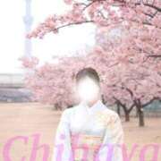 ヒメ日記 2026/03/19 07:22 投稿 ちはや I♥KASUKABE(アイラブ春日部)