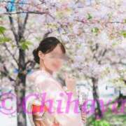 ヒメ日記 2026/04/06 00:35 投稿 ちはや I♥KASUKABE(アイラブ春日部)