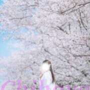 ヒメ日記 2026/04/16 13:19 投稿 ちはや I♥KASUKABE(アイラブ春日部)