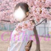 ヒメ日記 2026/04/17 13:31 投稿 ちはや I♥KASUKABE(アイラブ春日部)