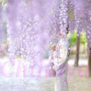 ヒメ日記 2026/05/04 10:31 投稿 ちはや I♥KASUKABE(アイラブ春日部)