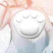 ヒメ日記 2025/06/08 09:21 投稿 みか 尼妻（あまづま）