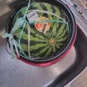 ヒメ日記 2025/08/15 18:39 投稿 みか 尼妻（あまづま）