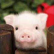 ヒメ日記 2025/10/06 16:15 投稿 みか 尼妻（あまづま）