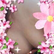 ヒメ日記 2025/06/30 16:21 投稿 のりか 尼妻（あまづま）