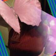 ヒメ日記 2025/07/03 12:49 投稿 のりか 尼妻（あまづま）