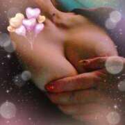 ヒメ日記 2025/07/29 15:50 投稿 のりか 尼妻（あまづま）