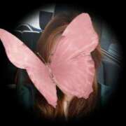 ヒメ日記 2026/02/12 16:17 投稿 のりか 尼妻（あまづま）