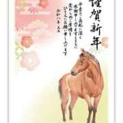 ヒメ日記 2026/01/01 05:30 投稿 じゅり 尼妻（あまづま）