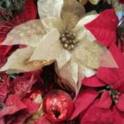 ヒメ日記 2024/12/08 16:56 投稿 ようこ 熟女の風俗最終章 池袋店