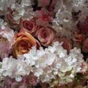 ヒメ日記 2025/03/01 14:07 投稿 ようこ 熟女の風俗最終章 池袋店