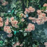 ヒメ日記 2025/03/12 00:52 投稿 ようこ 熟女の風俗最終章 池袋店