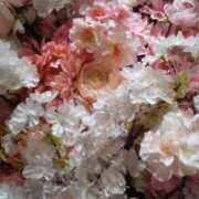 ヒメ日記 2025/04/02 23:42 投稿 ようこ 熟女の風俗最終章 池袋店