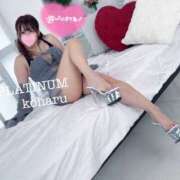 ヒメ日記 2025/03/25 19:25 投稿 コハル PLATINUM