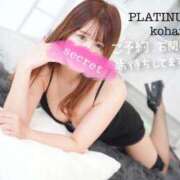 ヒメ日記 2025/04/19 08:17 投稿 コハル PLATINUM
