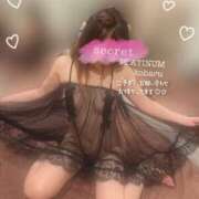 ヒメ日記 2025/04/23 14:10 投稿 コハル PLATINUM