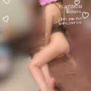 ヒメ日記 2025/04/23 23:21 投稿 コハル PLATINUM