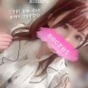 ヒメ日記 2025/04/29 14:05 投稿 コハル PLATINUM