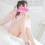 ヒメ日記 2025/04/30 12:11 投稿 コハル PLATINUM