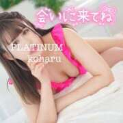 ヒメ日記 2025/04/30 21:49 投稿 コハル PLATINUM