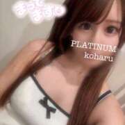 ヒメ日記 2025/06/10 22:30 投稿 コハル PLATINUM