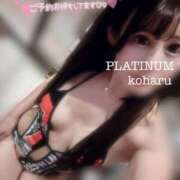 ヒメ日記 2025/06/21 07:46 投稿 コハル PLATINUM