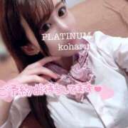 ヒメ日記 2025/07/17 09:18 投稿 コハル PLATINUM