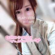ヒメ日記 2025/08/19 23:18 投稿 コハル PLATINUM