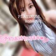 ヒメ日記 2025/09/03 14:36 投稿 コハル PLATINUM