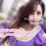 ヒメ日記 2025/09/19 14:01 投稿 コハル PLATINUM