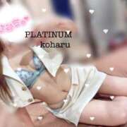 ヒメ日記 2025/10/18 15:18 投稿 コハル PLATINUM