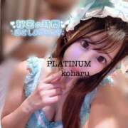 コハル ? PLATINUM