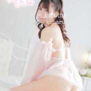 ヒメ日記 2025/12/18 22:44 投稿 コハル PLATINUM