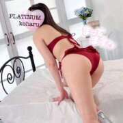 ヒメ日記 2025/12/27 23:22 投稿 コハル PLATINUM