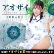 ヒメ日記 2026/03/22 23:00 投稿 コハル PLATINUM